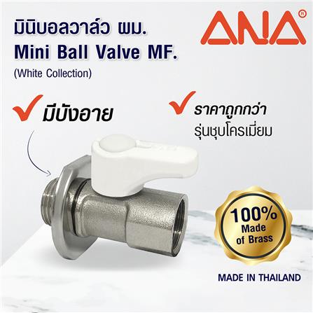 มินิบอลวาล์ว MF ANA 1/2 นิ้ว สีขาว_5
