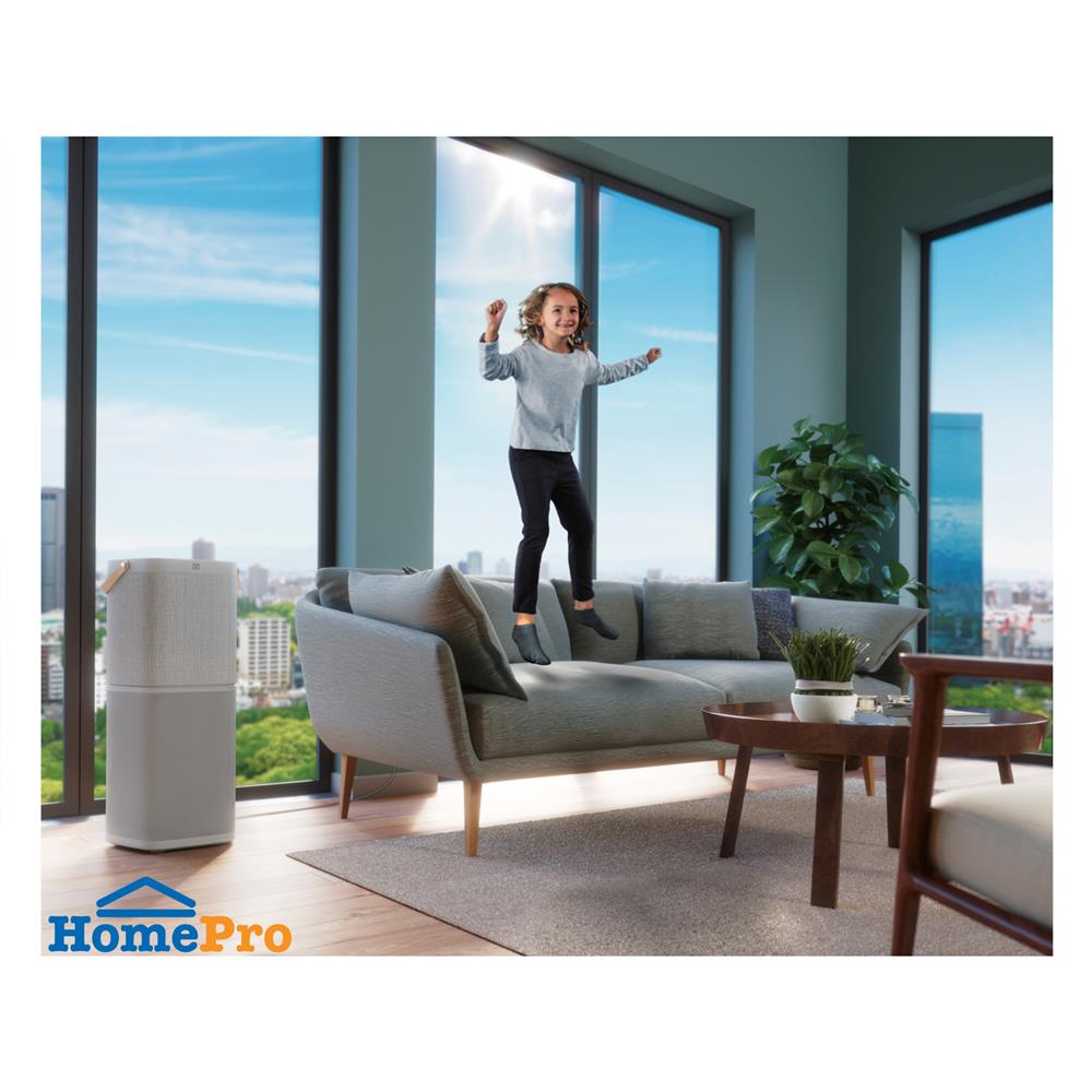 เครื่องฟอกอากาศ ELECTROLUX PA91-406GY 60ตารางเมตร