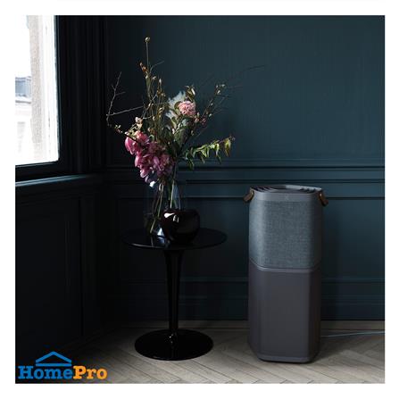 เครื่องฟอกอากาศ ELECTROLUX PA91-606DG 88ตารางเมตร_2