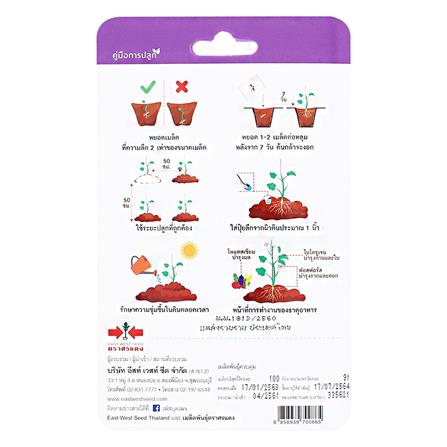 ถั่วฝักยาว โกเมนท์ ศรแดง_1