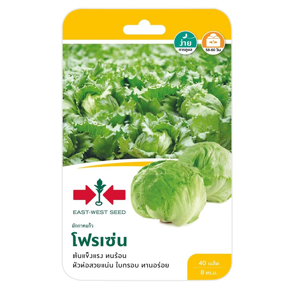 ผักกาดแก้ว โฟรเซ่น ศรแดง