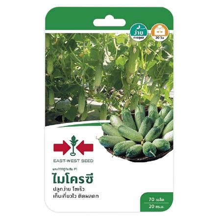 แตงกวา F1 ไมโครซี ศรแดง_0