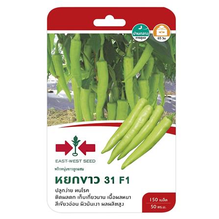 พริกหนุ่มขาว F1 หยกขาว ศรแดง_0