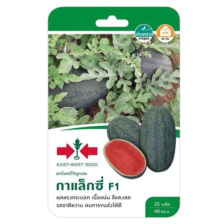 แตงโม F1 กาแล็กซี่ ศรแดง