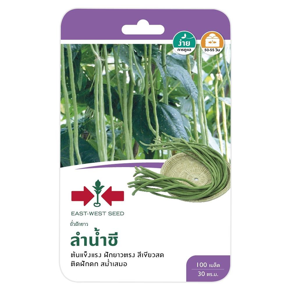 ถั่วฝักยาวลำน้ำชี ศรแดง