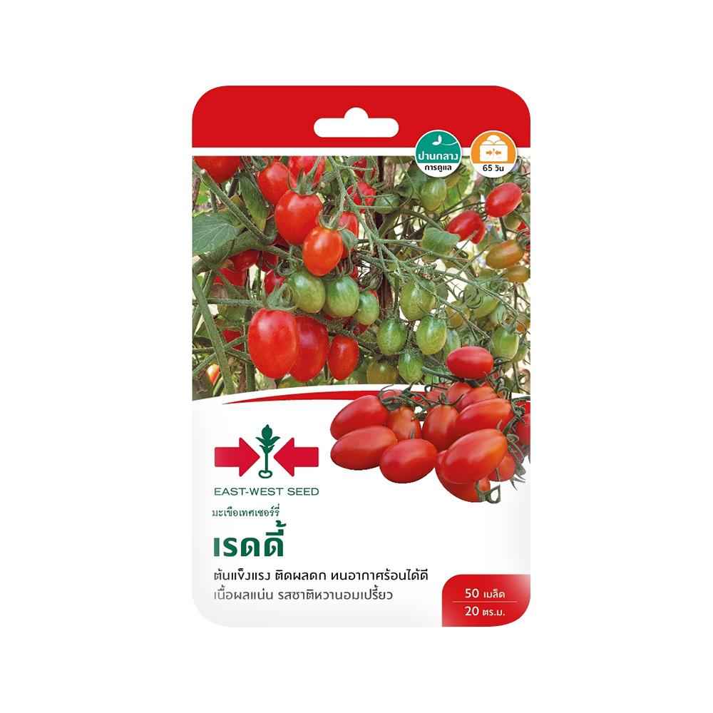 มะเขือเทศเชอร์รี่ F1 เรดดี้ ศรแดง