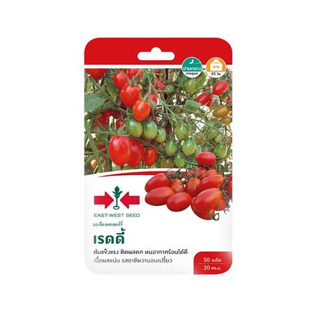 มะเขือเทศเชอร์รี่ F1 เรดดี้ ศรแดง_0