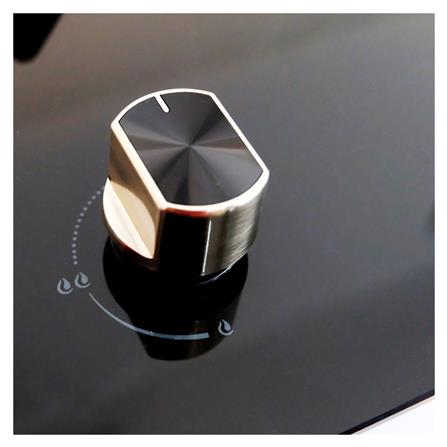 เตาฝังแก๊ส AXIA ROSEE31-1G 31 ซม._3