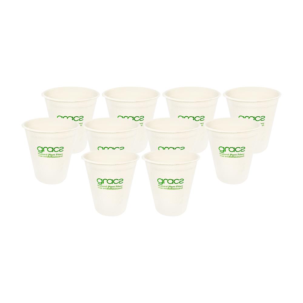 แก้วน้ำชานอ้อย 260ml GRACZ CLASSIC แพ็ค 10 ใบ