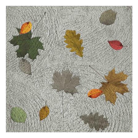 กระเบื้องพื้น 16x16 นิ้ว TARA เมเปิ้ล เทา PM 0.96M2