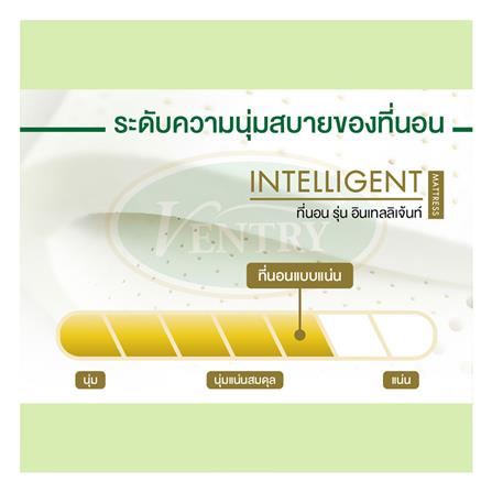 ที่นอน 5 ฟุต VENTRY INTELLIGENT_5