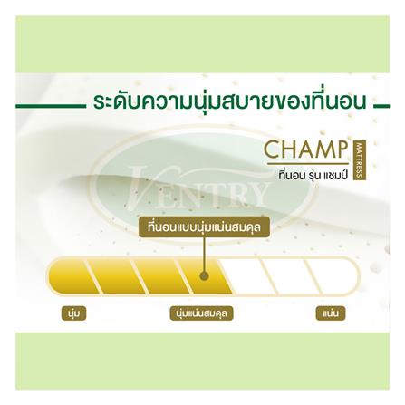 ที่นอน 6 ฟุต VENTRY CHAMP_5