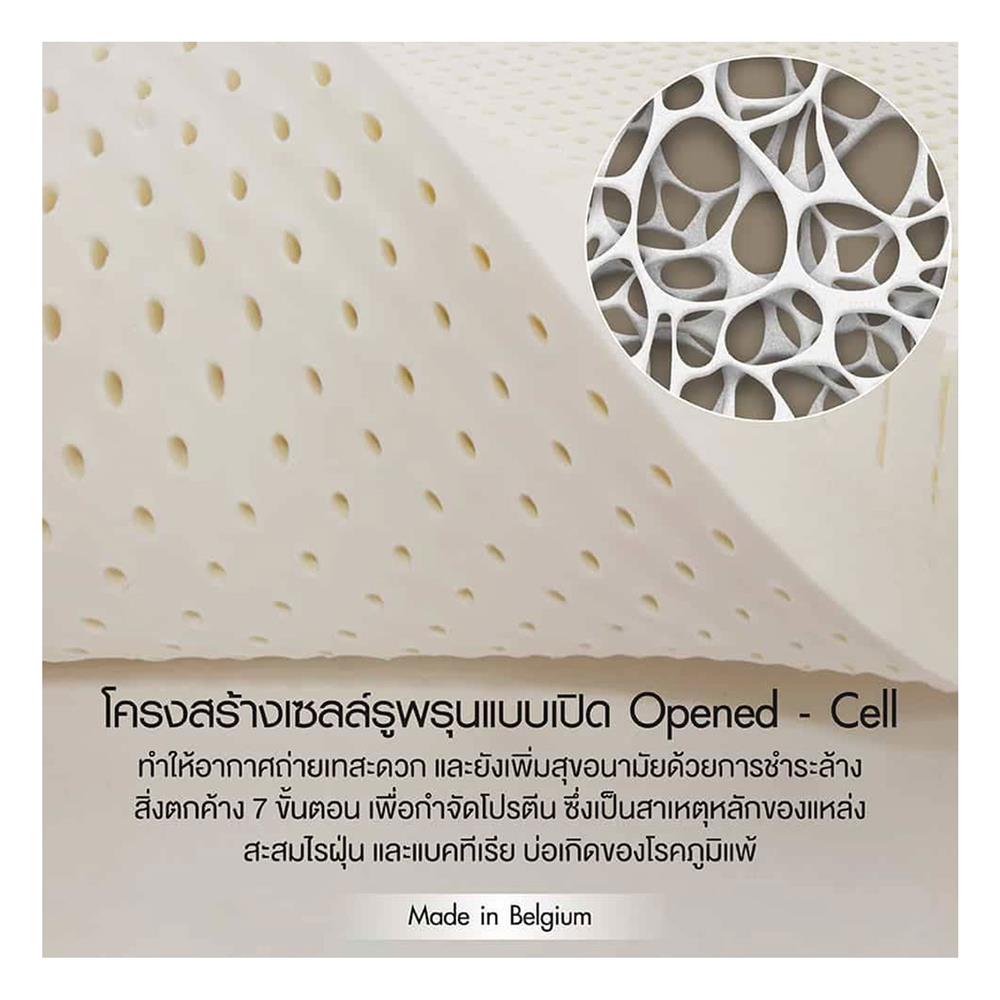 ที่นอน 5 ฟุต LOTUS ROYAL NODIC