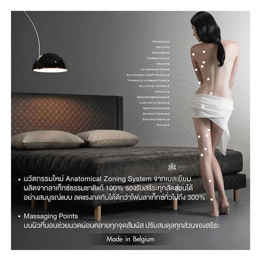 ที่นอน 5 ฟุต LOTUS ROYAL NODIC