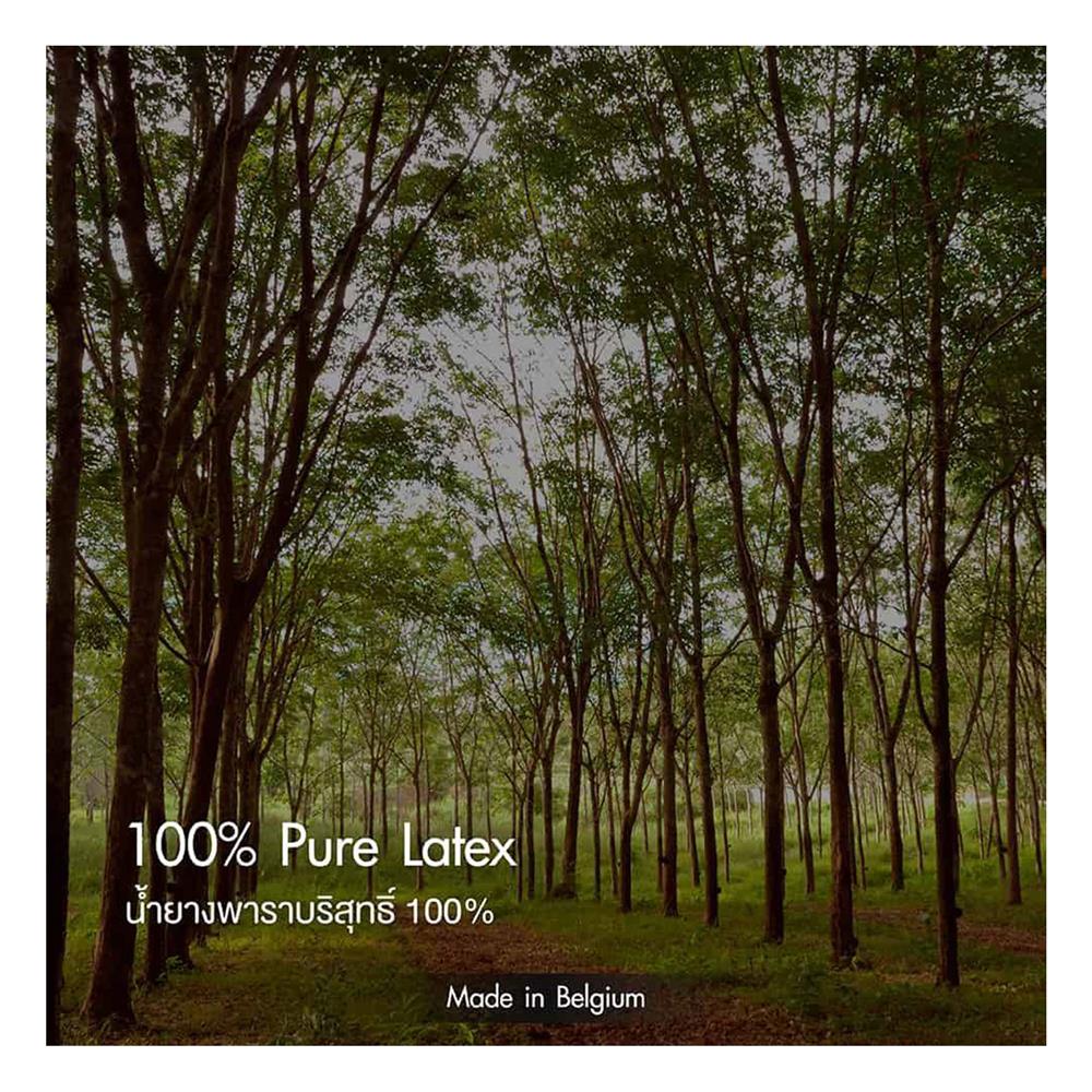 ที่นอน 6 ฟุต LOTUS NODIC