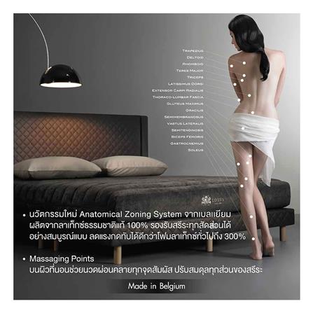 ที่นอน 6 ฟุต LOTUS NODIC_9