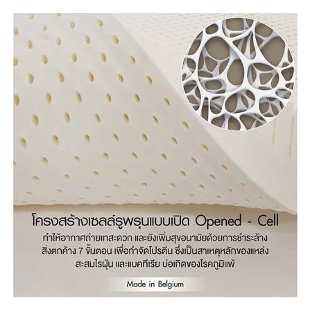 ที่นอน 3.5 ฟุต LOTUS ROYAL NODIC_5