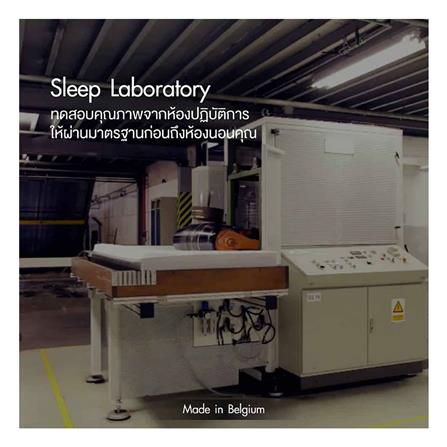 ที่นอน 3.5 ฟุต LOTUS ROYAL NODIC_11