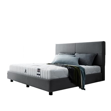 ที่นอน 6 ฟุต DUNLOPILLO EXPERIENCE  Free Pillow 2 pcs.