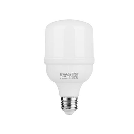 หลอด LED HI-TEK มวยไทย HIGHTWATT 20 วัตต์ E27 WARMWHITE