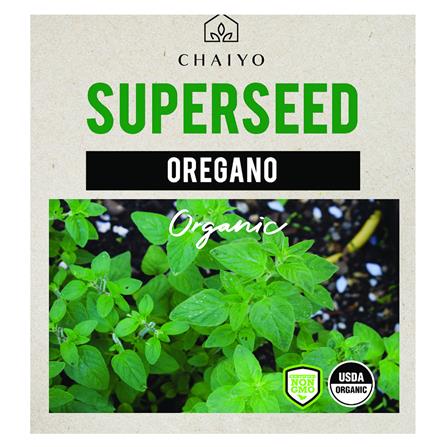 เมล็ดพันธุ์ออริกาโน ชัยโย 380 เมล็ด