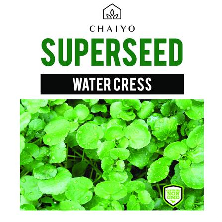 เมล็ดพันธุ์วอเตอร์เครส ชัยโย 450 เมล็ด