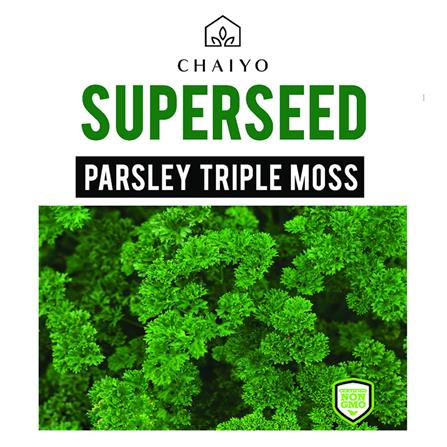 เมล็ดพันธุ์อิตาเลียนพาร์สลีย์ (ใบหยิก) ชัยโย 700 เมล็ด