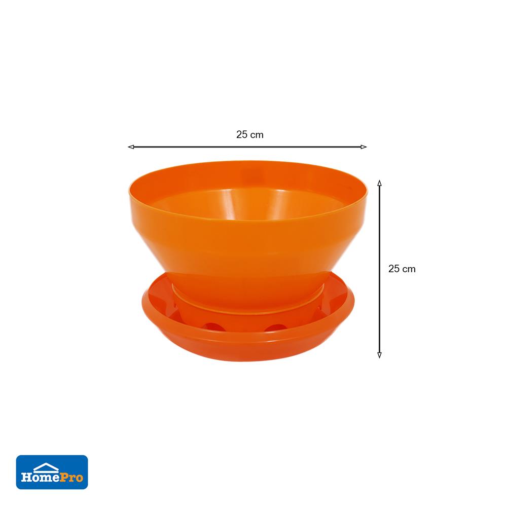 จานอาหารอัตโนมัติ ขนาดเล็ก SPRING