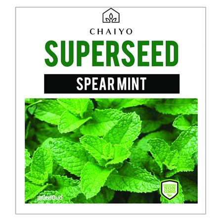 เมล็ดพันธุ์  ชัยโย 20 เมล็ด