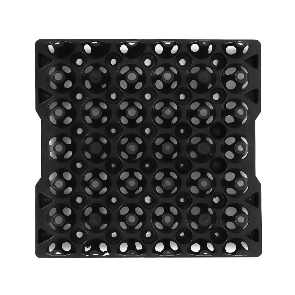 ถาดไข่พลาสติก SPRING