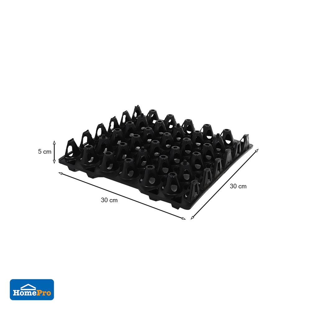 ถาดไข่พลาสติก SPRING