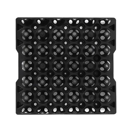 ถาดไข่พลาสติก SPRING_2