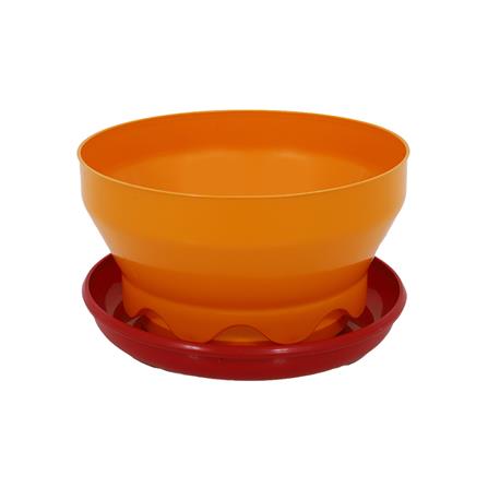 จานอาหารอัตโนมัติ ขนาดใหญ่ SPRING