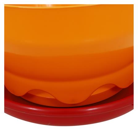 จานอาหารอัตโนมัติ ขนาดใหญ่ SPRING_2