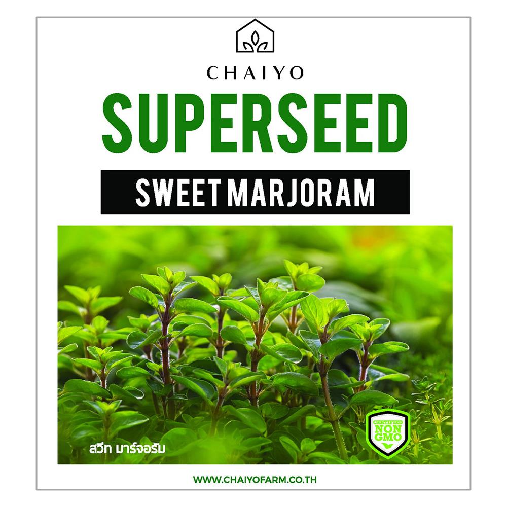เมล็ดพันธุ์สวีท มาร์จอรัม ชัยโย 380 เมล็ด