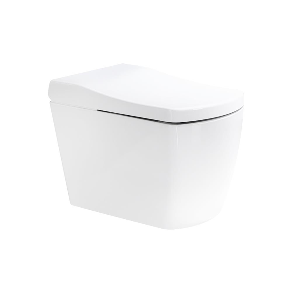 สุขภัณฑ์อัตโนมัติ HAFELE 495.61.454 5.5L สีขาว