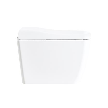 สุขภัณฑ์อัตโนมัติ HAFELE 495.61.454 5.5L สีขาว_1