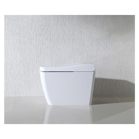 สุขภัณฑ์อัตโนมัติ HAFELE 495.61.454 5.5L สีขาว_4