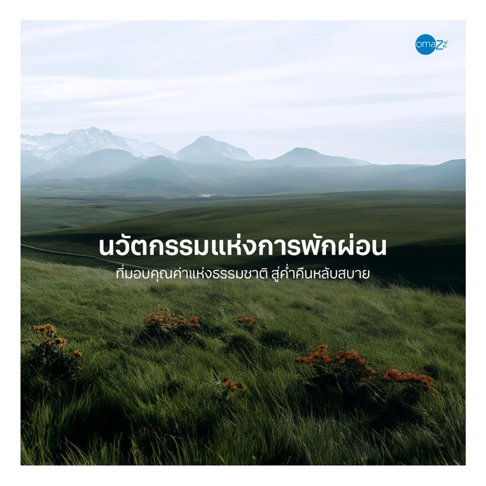 ที่นอนสปริง 6 ฟุต OMAZZ รุ่น FAMINGTON พร้อมชุดเครื่องนอน 8 ชิ้น