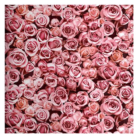 วอลล์เปเปอร์ DIY HOME LIVING STYLE ESCAPADE NO.L77003_0