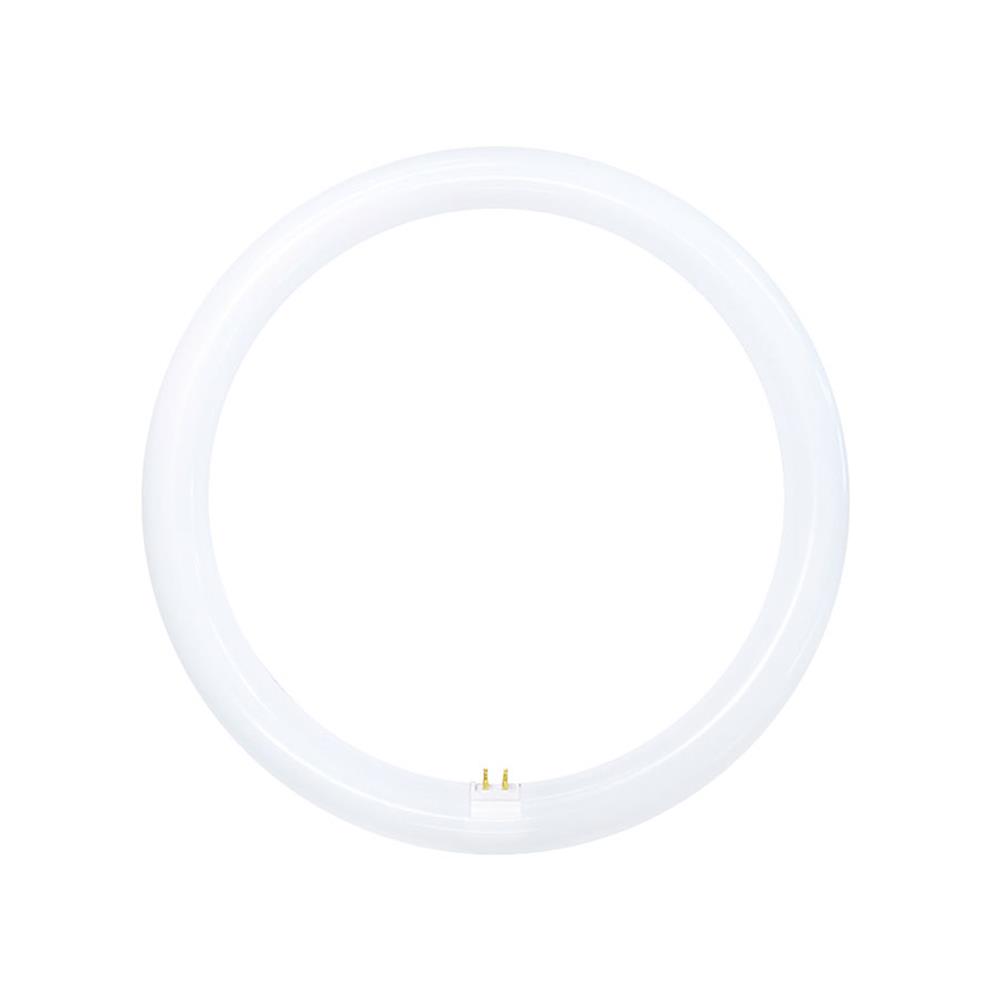 หลอด LED TOSHIBA MAGNETIC CIRCULAR 20 วัตต์ DAYLIGHT G10q