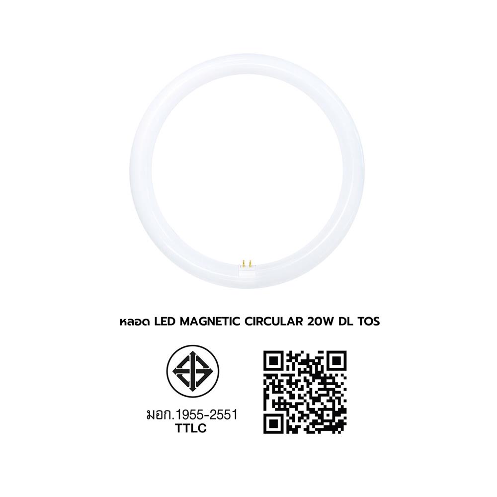 หลอด LED TOSHIBA MAGNETIC CIRCULAR 20 วัตต์ DAYLIGHT G10q