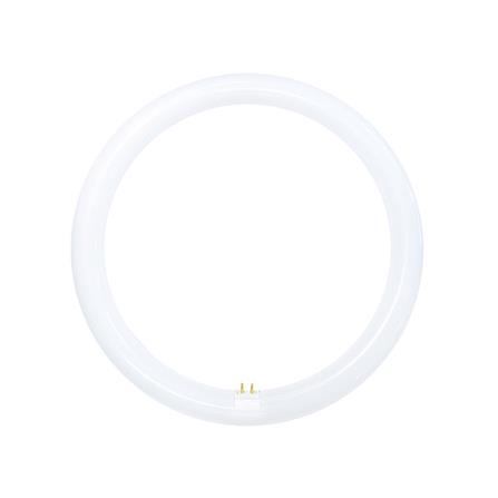 หลอด LED TOSHIBA MAGNETIC CIRCULAR 20 วัตต์ DAYLIGHT G10q