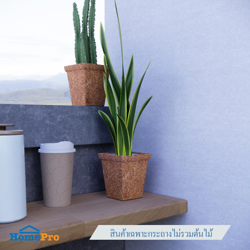 กระถางใยมะพร้าว SPRING 4 นิ้ว สีน้ำตาล