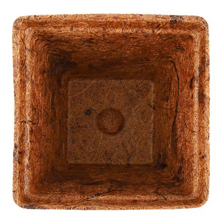 กระถางใยมะพร้าว SPRING 4 นิ้ว สีน้ำตาล_4