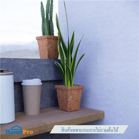 กระถางใยมะพร้าว SPRING 4 นิ้ว สีน้ำตาล_6