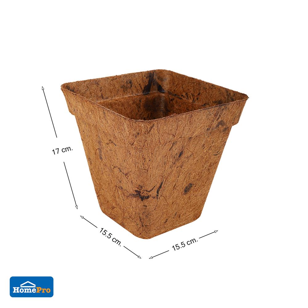 กระถางใยมะพร้าว SPRING 6 นิ้ว สีน้ำตาล