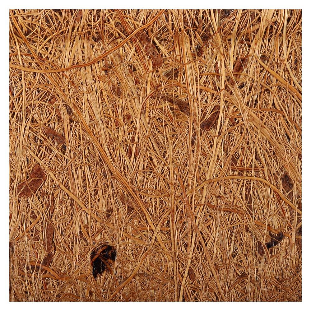 กระถางใยมะพร้าว SPRING 6 นิ้ว สีน้ำตาล