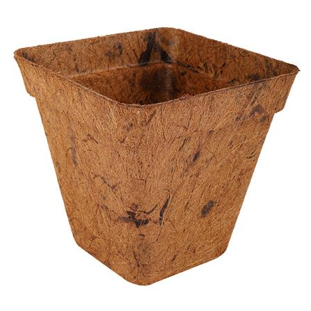 กระถางใยมะพร้าว SPRING 6 นิ้ว สีน้ำตาล_1