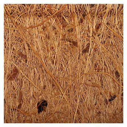 กระถางใยมะพร้าว SPRING 6 นิ้ว สีน้ำตาล_5